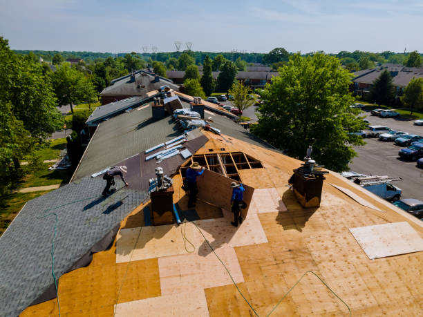 24/7 Emergency Flat Roof Repair experts in Lincoln Park, CO